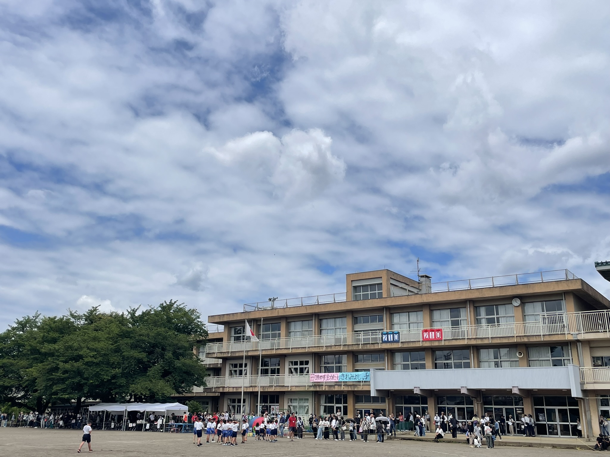 初夏の運動会 写真